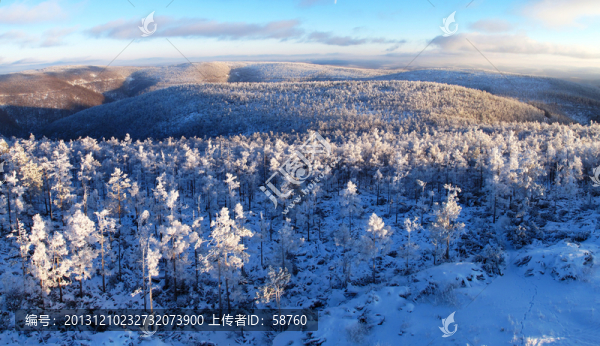 林海雪原