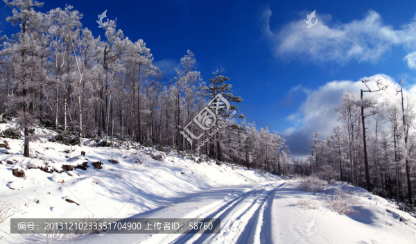 森林雪路