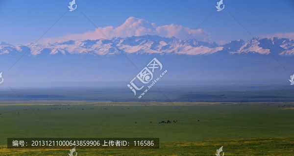 草原風(fēng)光