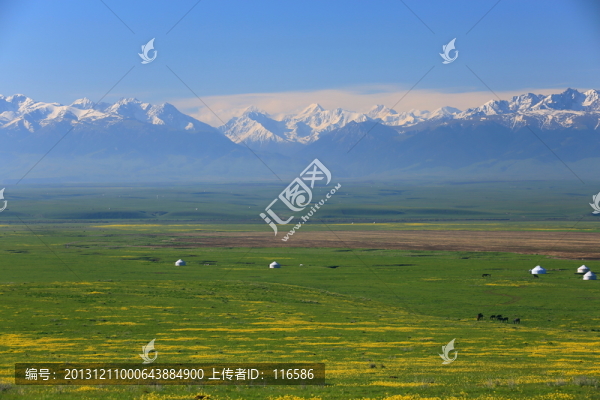 草原風(fēng)光