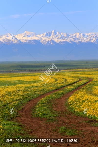 小路