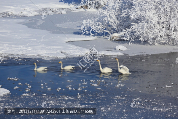 濕地