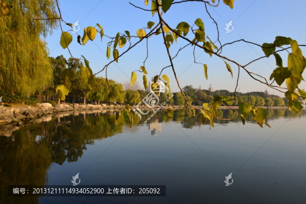 秋景