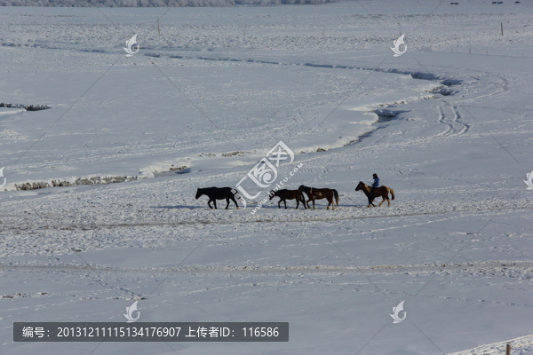 馬