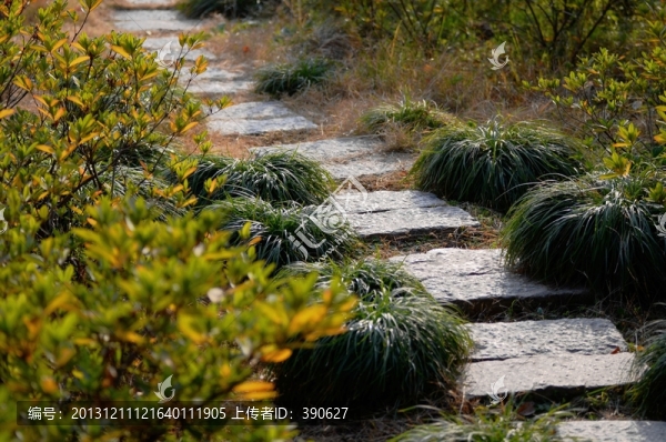 石板路