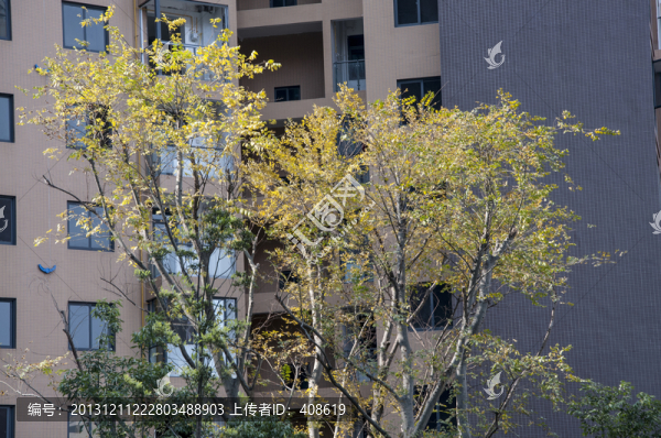 秋日