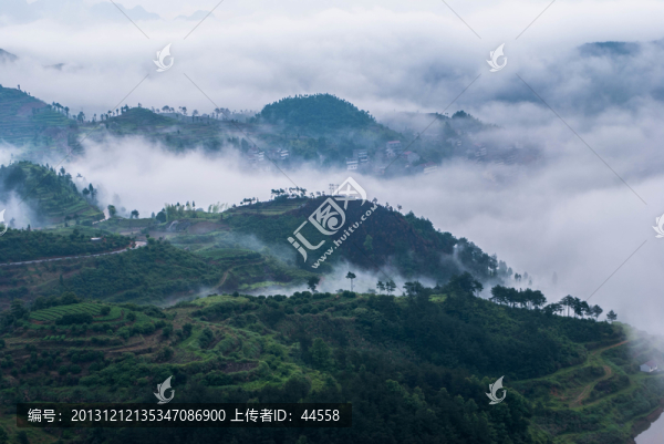 山,云霧,梯田