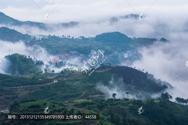 山,云霧,梯田