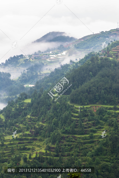 山,云霧,梯田