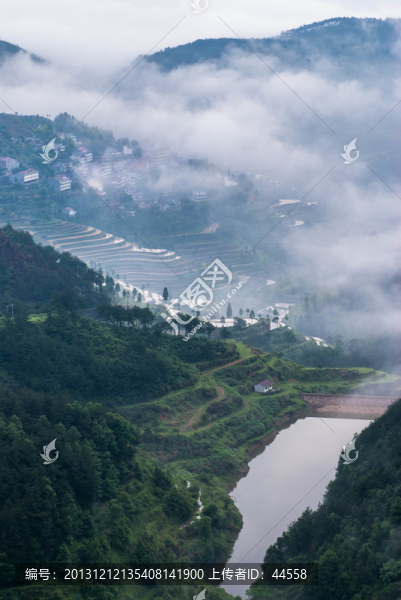 山,云霧,梯田