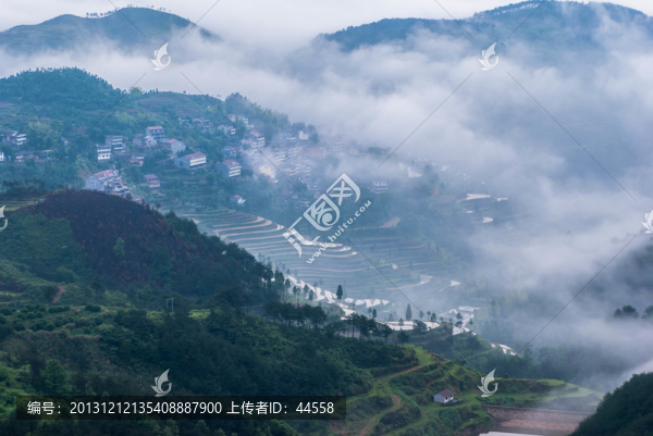 山,云霧,梯田