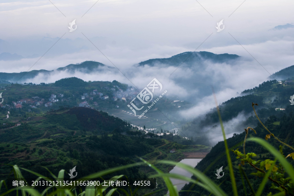 山,云霧,梯田
