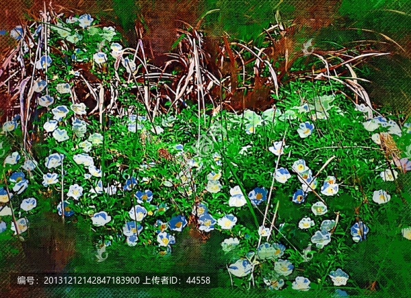 油畫,花