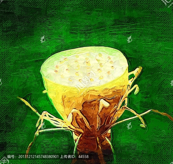 荷花,抽象畫,花卉