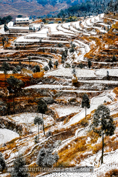 雪景,梯田