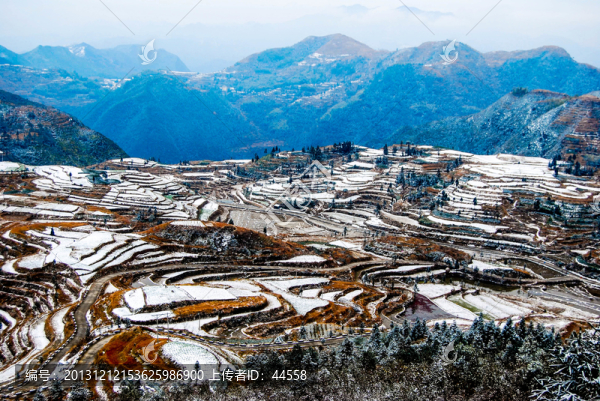 雪景,梯田