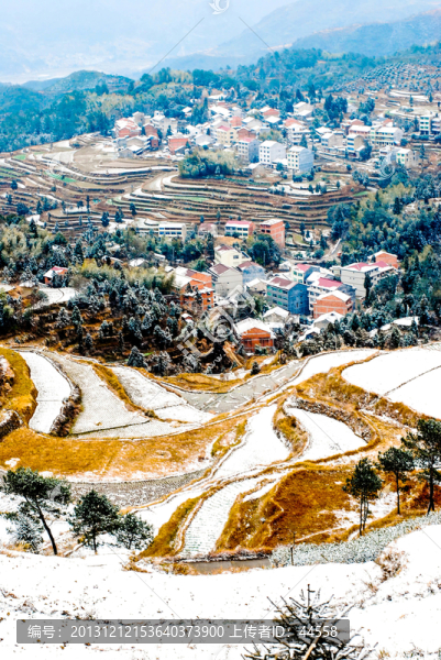茗岙