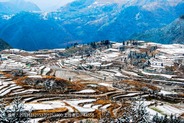 茗岙,雪景