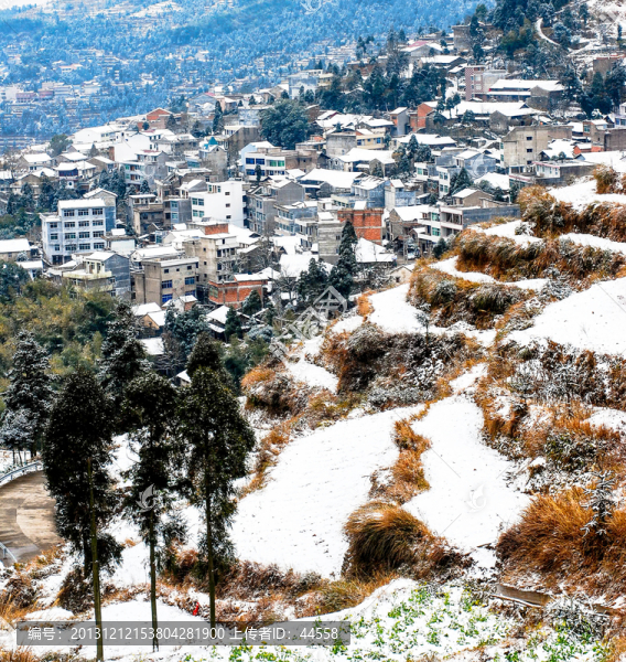 雪景,梯田