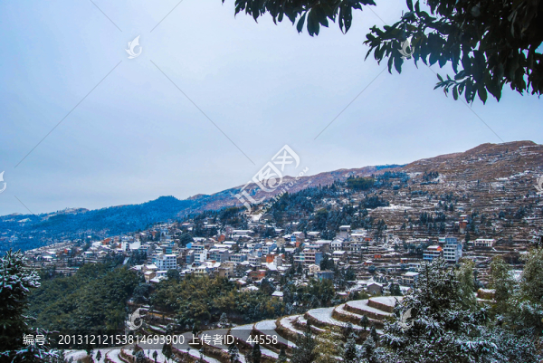 雪景,梯田