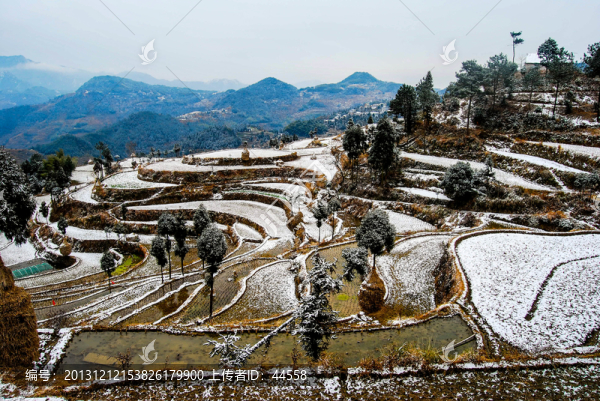 雪景,梯田