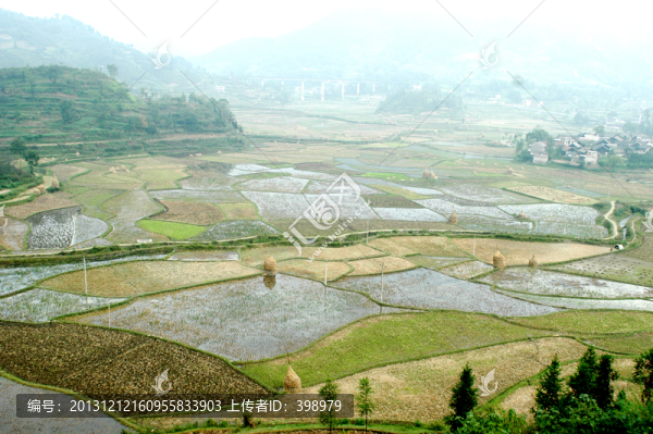 貴州農(nóng)田
