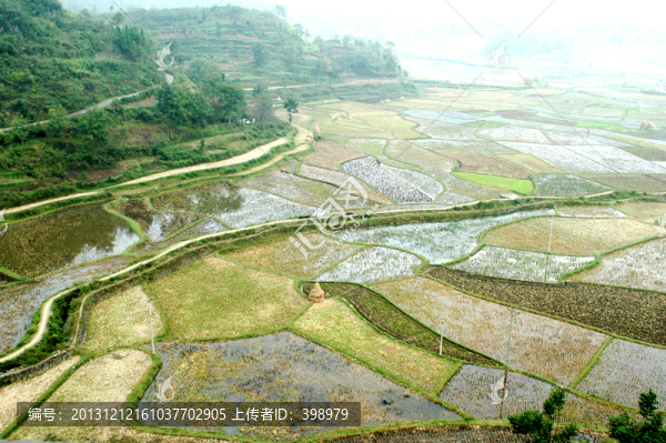 貴州農(nóng)田