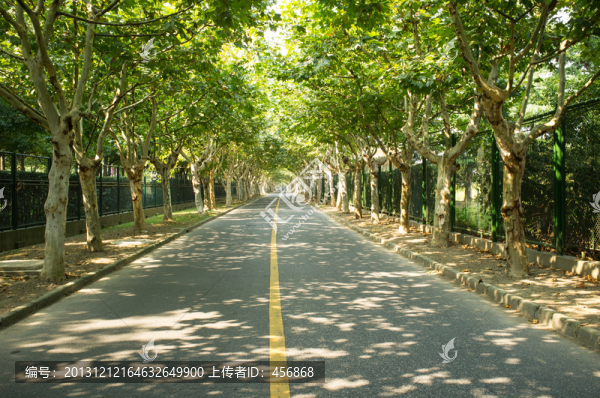 秋天馬路