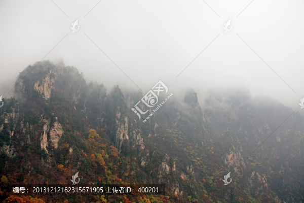 云霧繚繞的伏牛山老界嶺