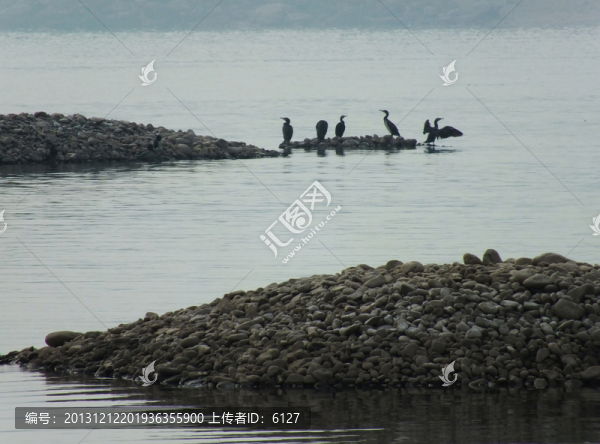 長江枯水