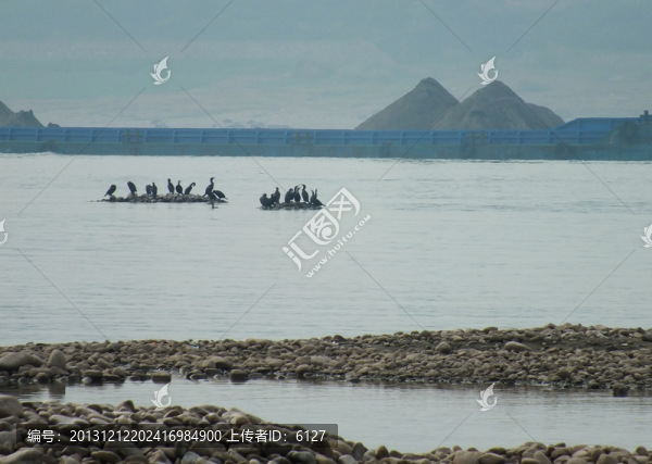 長江枯水