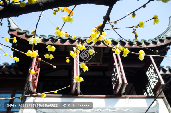 青浦曲水園
