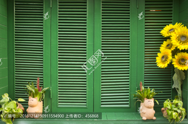 綠色窗戶