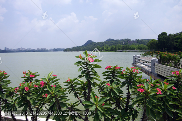 園林,湖