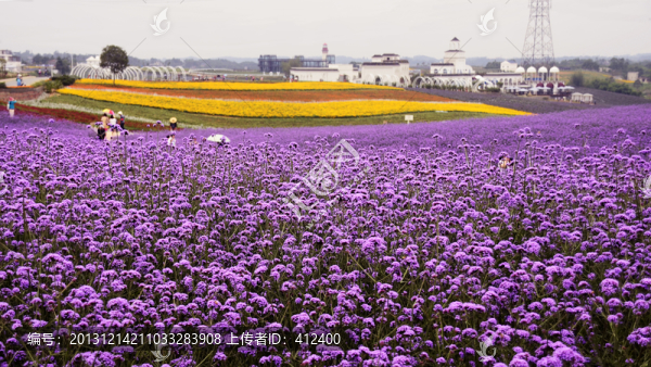 花田軼事
