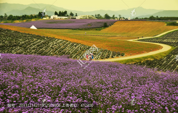 花田軼事