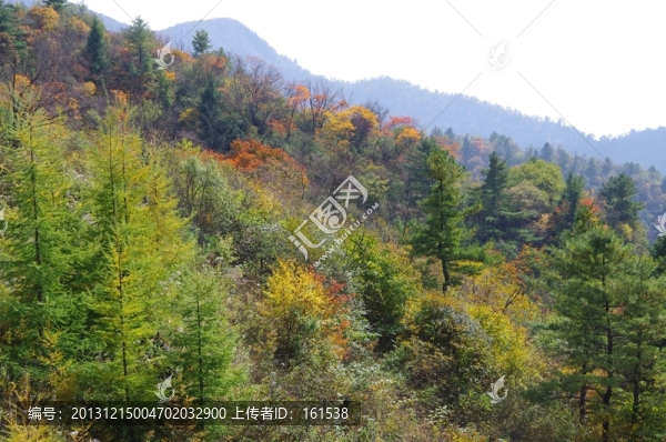陜西安康神禾源神禾草田