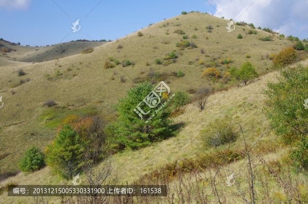 陜西安康嵐皋神禾草原