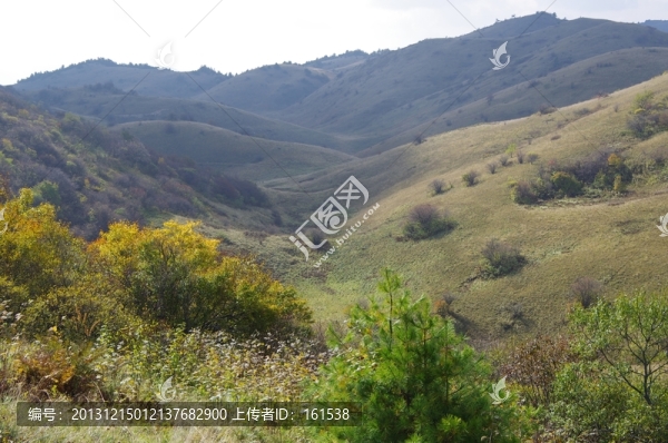 陜西安康嵐皋神禾草原