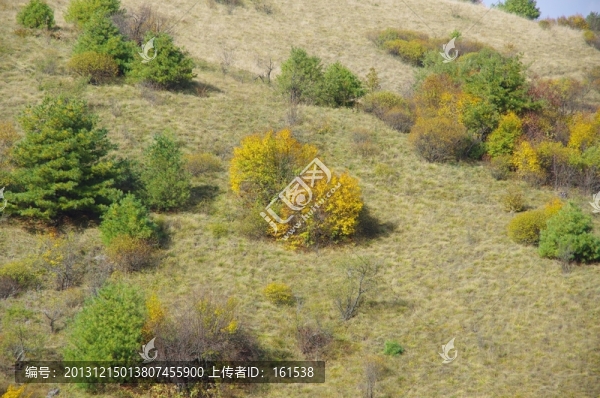 陜西安康嵐皋神禾源