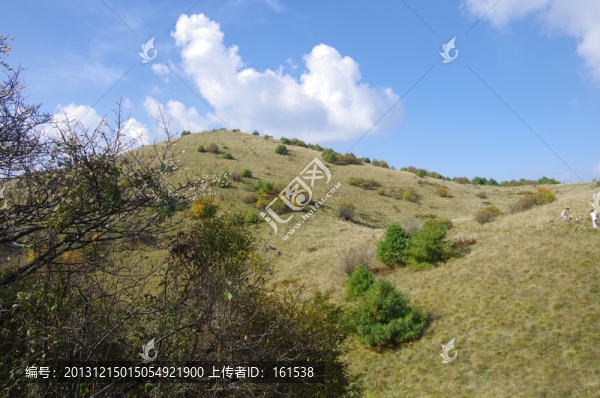陜西安康嵐皋神禾草原