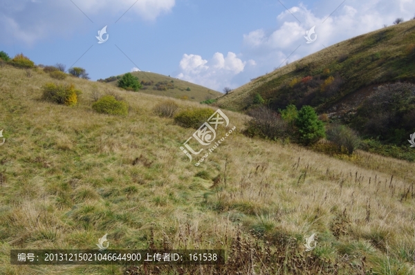 陜西安康嵐皋神禾草原