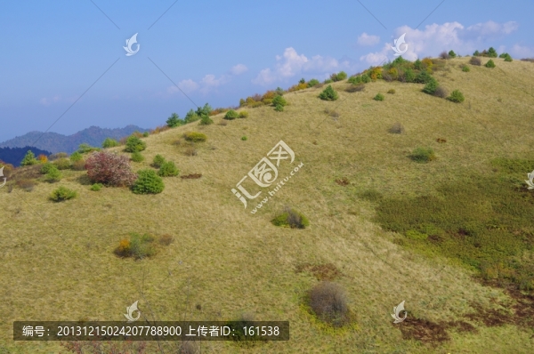 陜西安康嵐皋神禾草原,藍(lán)天草甸
