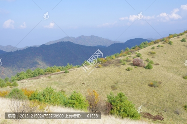陜西安康嵐皋神禾草原