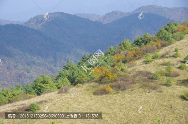 陜西安康嵐皋神禾草原