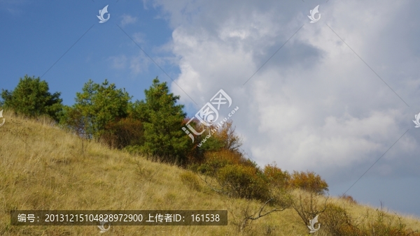 陜西安康嵐皋,,神禾草原