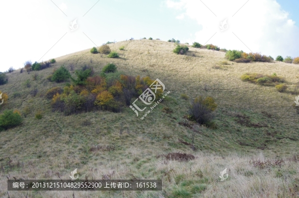 陜西嵐皋神禾草原,高原,草甸