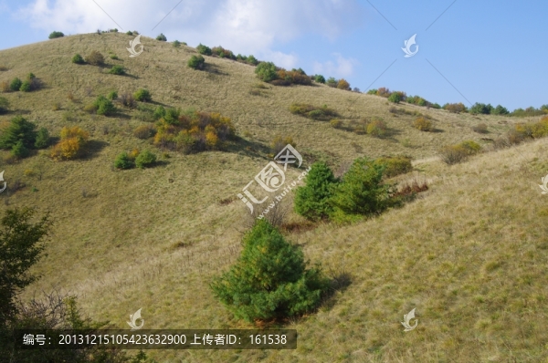 陜西安康嵐皋,,神禾草原