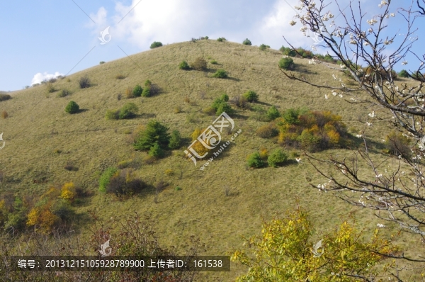 陜西安康嵐皋神禾草原