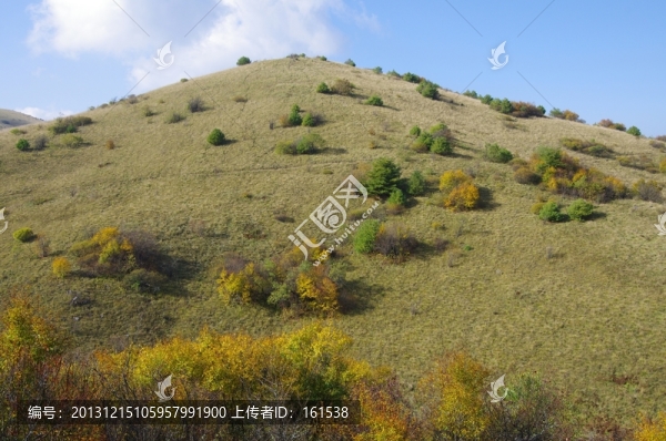 陜西安康嵐皋神禾草原